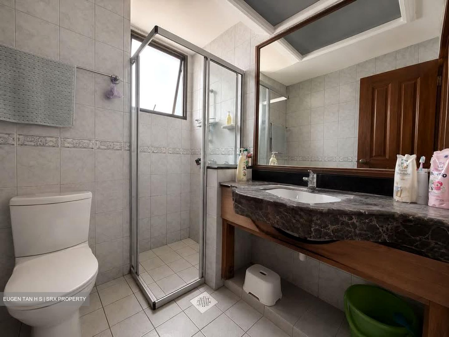 Carissa Park Condominium (D17), Condominium #594190231